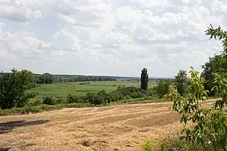 Вид на пойму Роси