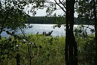 Вид на озеро весной 2013 года