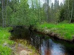 Река Святуха у автодороги Р37