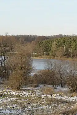 пруд в селе Андреевка