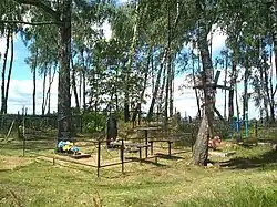 Сельское кладбище