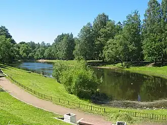 Вид на пруд летом 2017 года