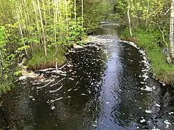 Вид против течения