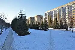 Безымянный сквер на улице Карбышева (декабрь 2018)