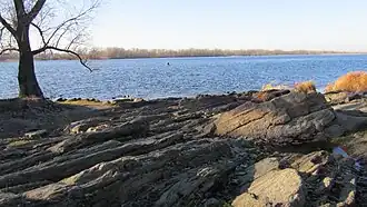 Скала в 2011 году