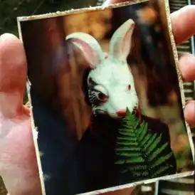 Обложка альбома Красные Звёзды «Скользящие сквозь времена» (2010)