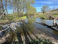 Слияние Мошны (слева) и Сожа