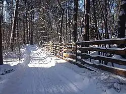 Улица в дачном товариществе "Советский Художник".