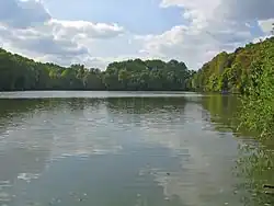 пруд на реке в Сокиринском парке