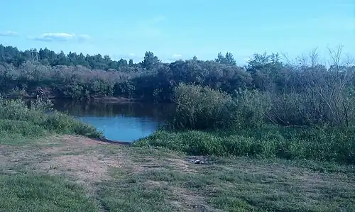 На этом месте на реке Днепр в июле-августе 1941 года проходила Соловьёвская переправа