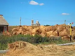 Вид с улицы Сосновки