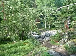 Тропа ведущая с горы