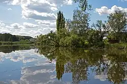 Пруд на реке Бобрица в селе Кожуховка