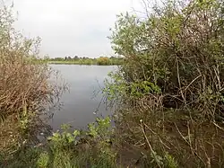 старик у дамби