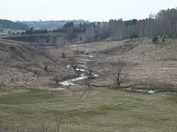 Левый пересыхающий приток-ручей (старица) реки Верещаги после весеннего половодья. Вид с горы у деревни Новосергеевка.