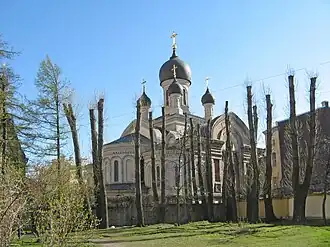 Сквер Василия Косякова (остолбленные тополя)