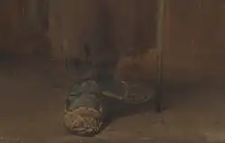 Нижняя часть полотна