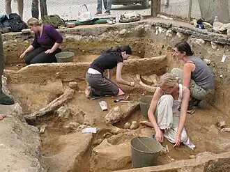 Студенты из Великобритании на Зарайской стоянке. 2005 г.