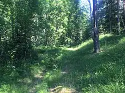 Полотно разобранного подъездного пути.