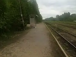 Вид в сторону ст. Брусничная.