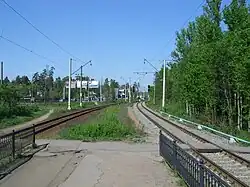 Вид на сестрорецкую горловину станции. Слева — главный путь, справа — боковой