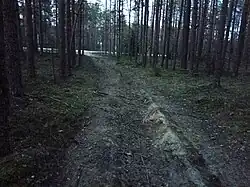 Второй разобранный путь. Вид на юг.