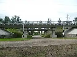 Новый и старый путепроводы к югу от платформы