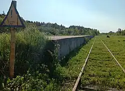 Грузовая платформа. Вид в сторону ст. Видлица.