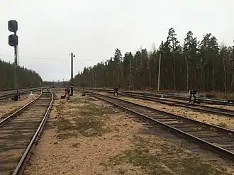 Выходные светофоры. Вид в сторону ст. Прибылово.