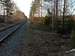 Разобранный боковой путь. Вид в сторону ст. Ильинская.