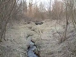 Вид на ручей весной 2011 года
