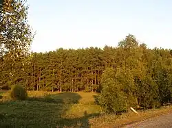 Пейзаж на въезде в село