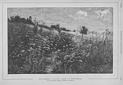 Drawing by O.A. Lagoda-Shishkina of her husband's (Ivan Ivanovich Shishkin) painting: Lady with a parasol in a meadow with cow parsley (1881)