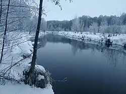 Тавровка зимой