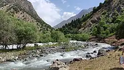 верховья долины реки Каратаг, июнь, 2023