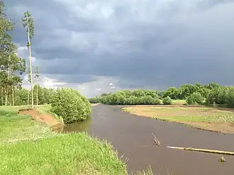 Течение Боровки рядом с пос. Колтубановский