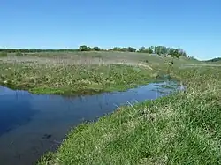 Равнинное течение Верещаги в начале пути