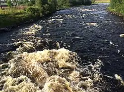 Вид против течения