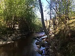 р. Титон-канава в районе ост. п. Титто.