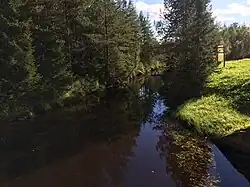 Вид по течению