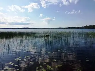 Вид с автодороги 86К-14