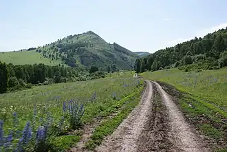 Дорога в село Тулата