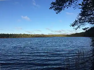 Залив Елгинлахти (Деугенлахти) на юге Тумасозера