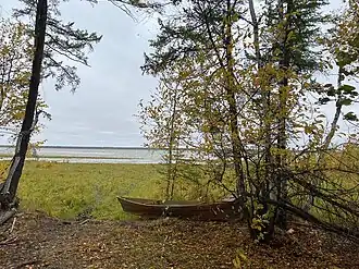 Тыайа Фото 2