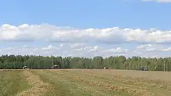 Уборка урожая 2017 года в Волосовичском сельсовете ОАО "Дербин"