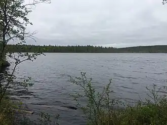 Северо-восточный берег озера