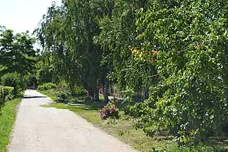 Улица Школьная