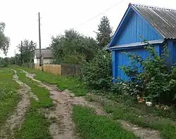 ул. Заречная2013 год