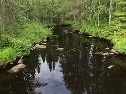 Вид против течения