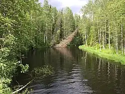 Вид против течения